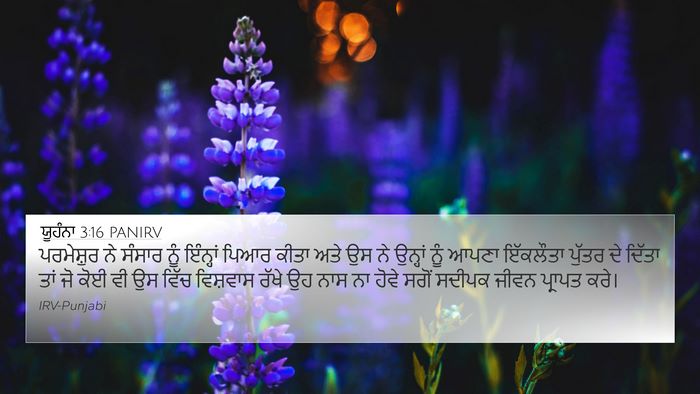 ਯੂਹੰਨਾ 3:16 PANIRV Bible Verse Image