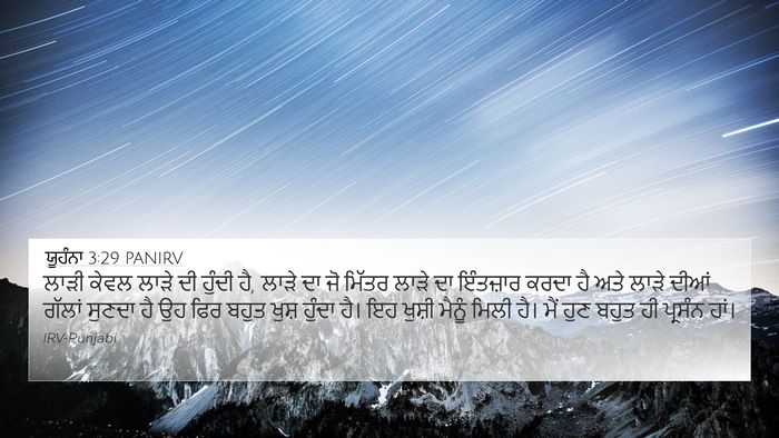 ਯੂਹੰਨਾ 3:29 PANIRV Bible Verse Image