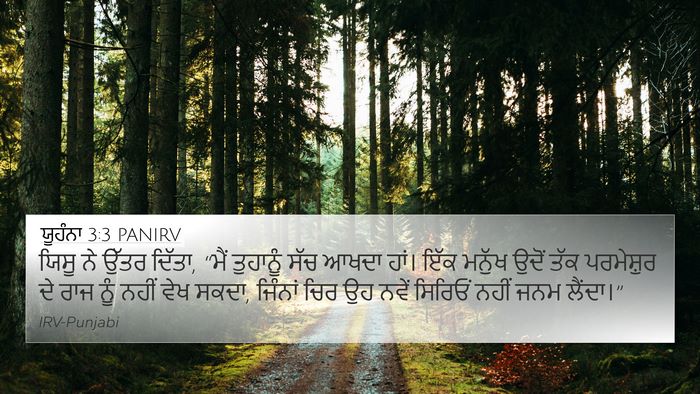 ਯੂਹੰਨਾ 3:3 PANIRV Bible Verse Image