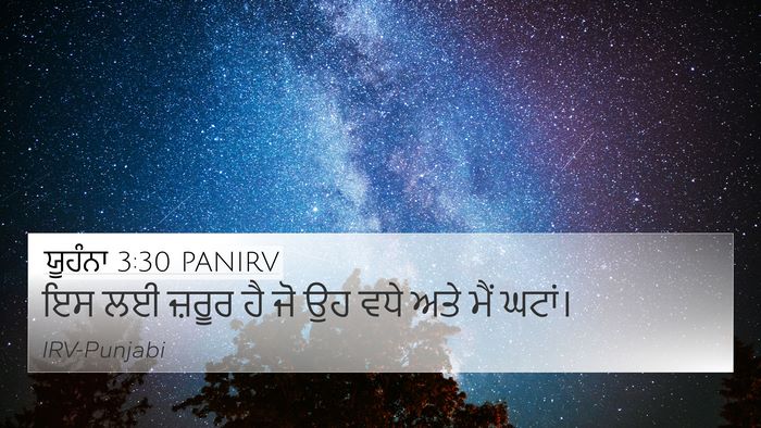 ਯੂਹੰਨਾ 3:30 PANIRV Bible Verse Image