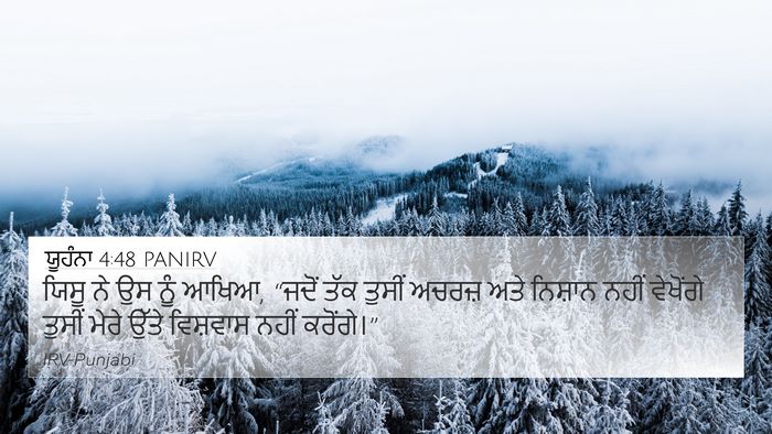 ਯੂਹੰਨਾ 4:48 PANIRV Bible Verse Image