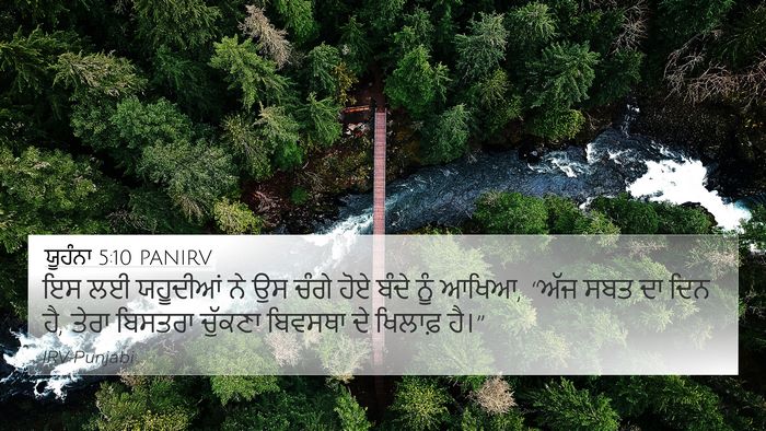 ਯੂਹੰਨਾ 5:10 PANIRV Bible Verse Image