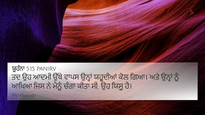 ਯੂਹੰਨਾ 5:15 PANIRV Bible Verse Image