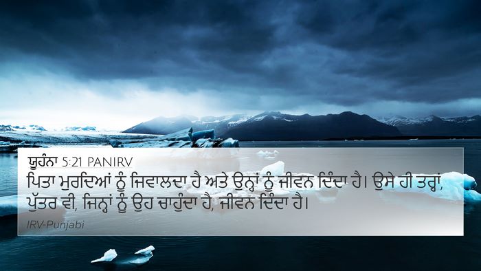 ਯੂਹੰਨਾ 5:21 PANIRV Bible Verse Image