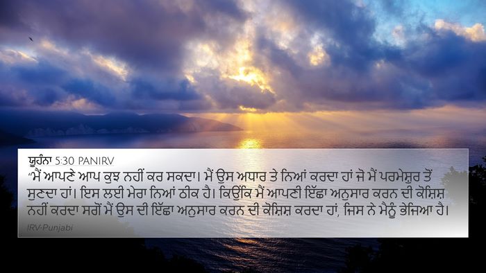 ਯੂਹੰਨਾ 5:30 PANIRV Bible Verse Image