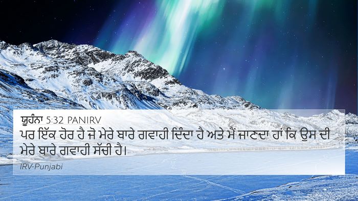 ਯੂਹੰਨਾ 5:32 PANIRV Bible Verse Image
