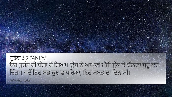 ਯੂਹੰਨਾ 5:9 PANIRV Bible Verse Image
