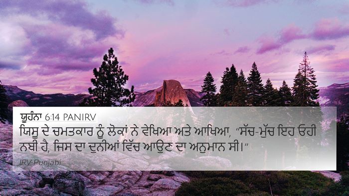 ਯੂਹੰਨਾ 6:14 PANIRV Bible Verse Image