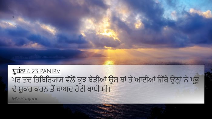 ਯੂਹੰਨਾ 6:23 PANIRV Bible Verse Image