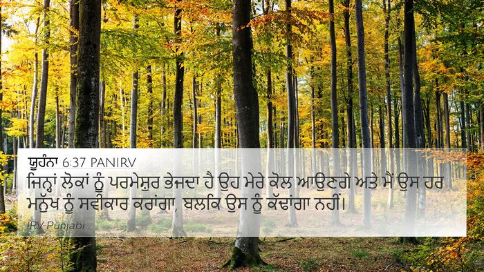 ਯੂਹੰਨਾ 6:37 PANIRV Bible Verse Image