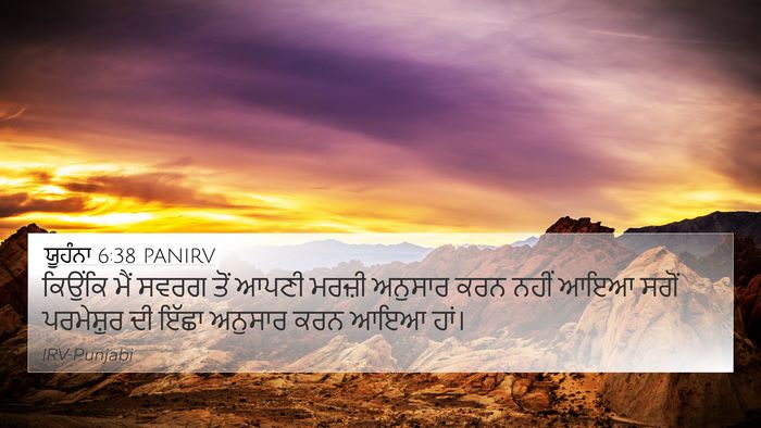 ਯੂਹੰਨਾ 6:38 PANIRV Bible Verse Image