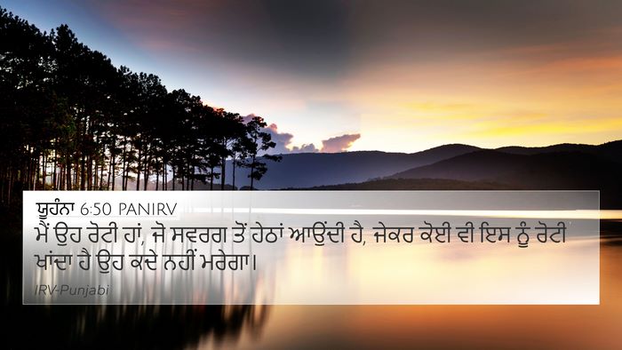 ਯੂਹੰਨਾ 6:50 PANIRV Bible Verse Image