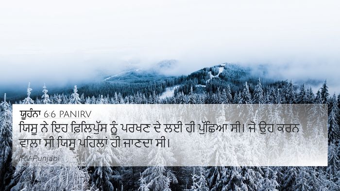 ਯੂਹੰਨਾ 6:6 PANIRV Bible Verse Image