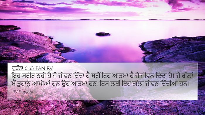 ਯੂਹੰਨਾ 6:63 PANIRV Bible Verse Image