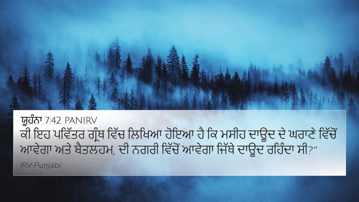 ਯੂਹੰਨਾ 7:42 PANIRV Bible Verse Image