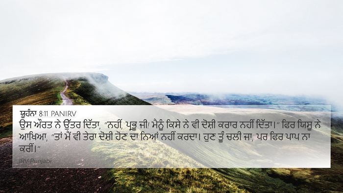 ਯੂਹੰਨਾ 8:11 PANIRV Bible Verse Image