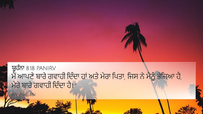 ਯੂਹੰਨਾ 8:18 PANIRV 4K Wallpaper - ਮੈਂ ਆਪਣੇ ਬਾਰੇ - 4K Wallpaper Bible Verse