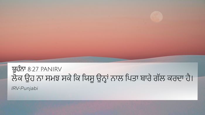 ਯੂਹੰਨਾ 8:27 PANIRV Bible Verse Image