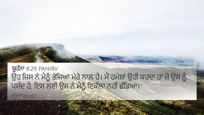 ਯੂਹੰਨਾ 8:29 PANIRV Bible Verse Image
