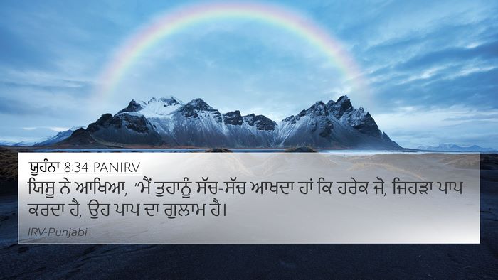 ਯੂਹੰਨਾ 8:34 PANIRV Bible Verse Image