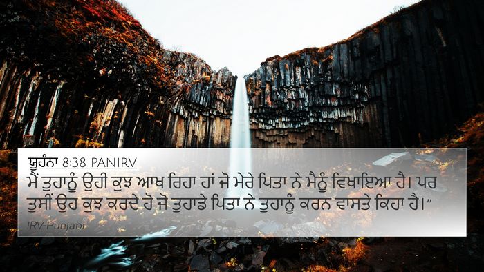 ਯੂਹੰਨਾ 8:38 PANIRV Bible Verse Image