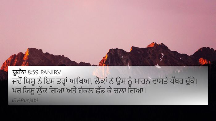 ਯੂਹੰਨਾ 8:59 PANIRV Bible Verse Image