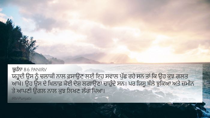 ਯੂਹੰਨਾ 8:6 PANIRV Bible Verse Image