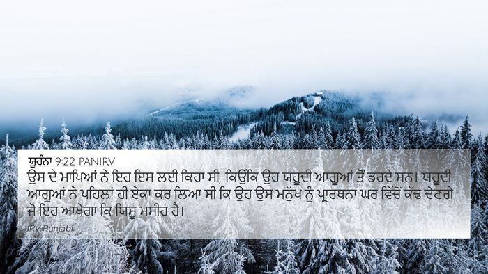 ਯੂਹੰਨਾ 9:22 PANIRV Bible Verse Image