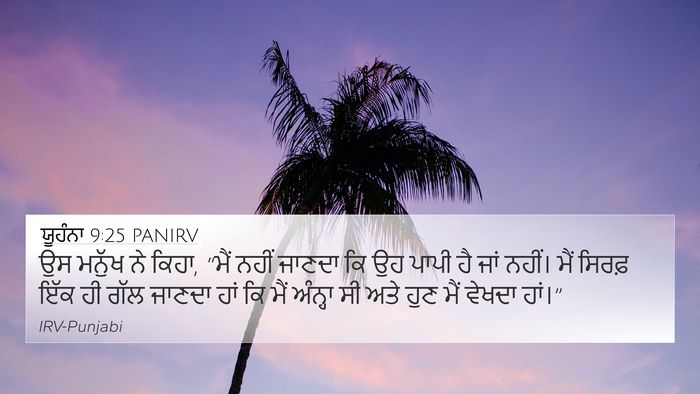ਯੂਹੰਨਾ 9:25 PANIRV Bible Verse Image