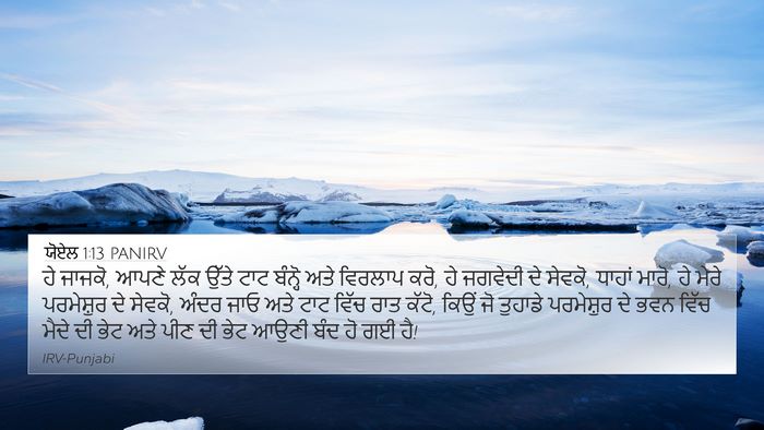 ਯੋਏਲ 1:13 PANIRV Bible Verse Image