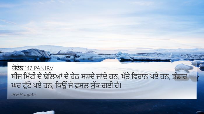ਯੋਏਲ 1:17 PANIRV Bible Verse Image