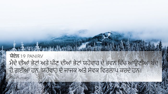 ਯੋਏਲ 1:9 PANIRV Bible Verse Image