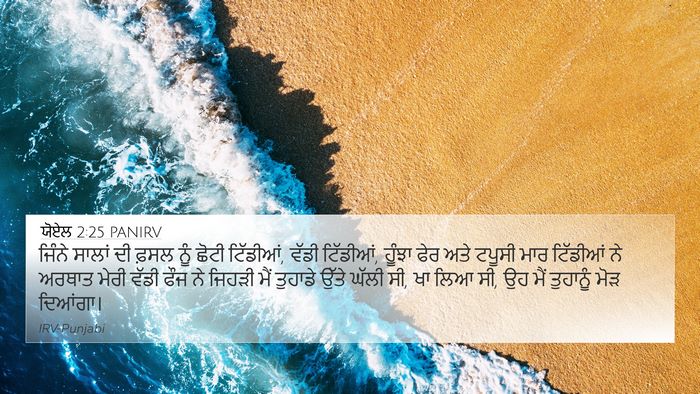 ਯੋਏਲ 2:25 PANIRV Bible Verse Image