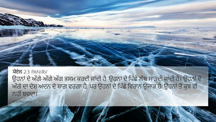 ਯੋਏਲ 2:3 PANIRV Bible Verse Image