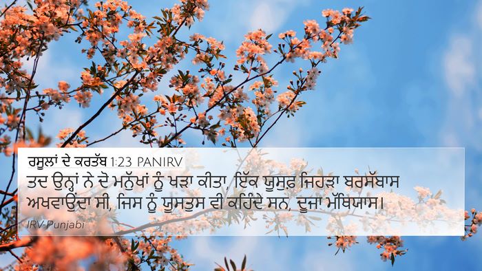 ਰਸੂਲਾਂ ਦੇ ਕਰਤੱਬ 1:23 PANIRV Bible Verse Image