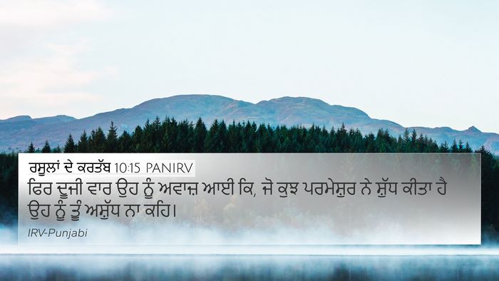 ਰਸੂਲਾਂ ਦੇ ਕਰਤੱਬ 10:15 PANIRV Bible Verse Image