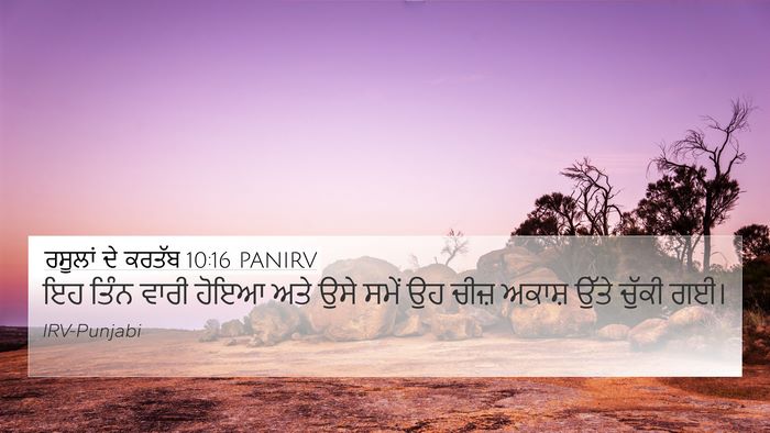 ਰਸੂਲਾਂ ਦੇ ਕਰਤੱਬ 10:16 PANIRV Bible Verse Image