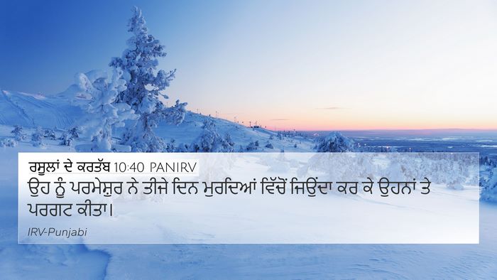 ਰਸੂਲਾਂ ਦੇ ਕਰਤੱਬ 10:40 PANIRV Bible Verse Image