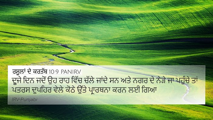 ਰਸੂਲਾਂ ਦੇ ਕਰਤੱਬ 10:9 PANIRV Bible Verse Image