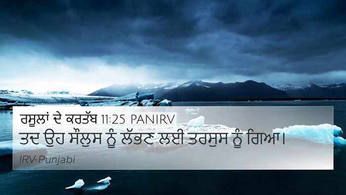 ਰਸੂਲਾਂ ਦੇ ਕਰਤੱਬ 11:25 PANIRV Bible Verse Image