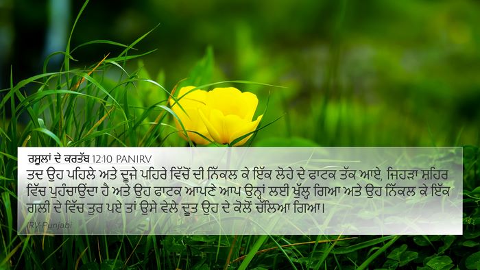 ਰਸੂਲਾਂ ਦੇ ਕਰਤੱਬ 12:10 PANIRV Bible Verse Image