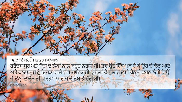 ਰਸੂਲਾਂ ਦੇ ਕਰਤੱਬ 12:20 PANIRV Bible Verse Image
