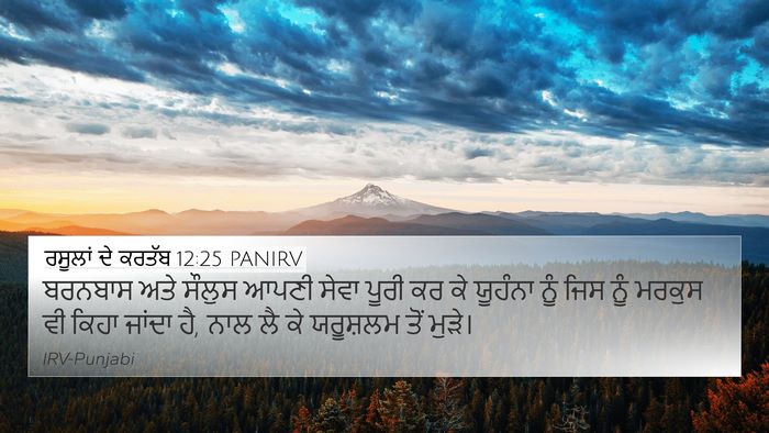 ਰਸੂਲਾਂ ਦੇ ਕਰਤੱਬ 12:25 PANIRV Bible Verse Image