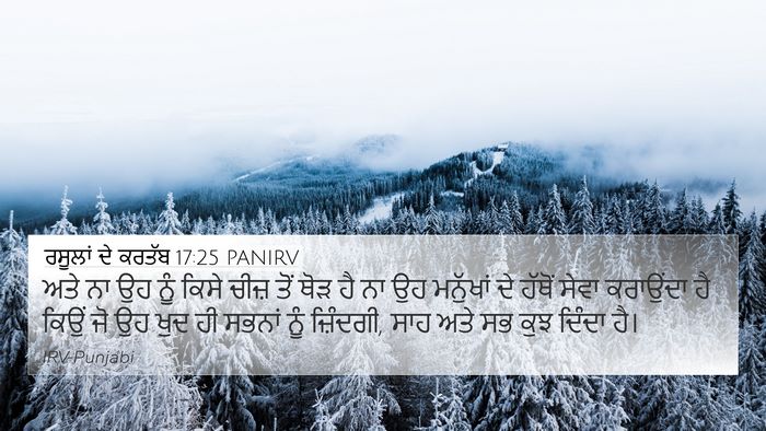 ਰਸੂਲਾਂ ਦੇ ਕਰਤੱਬ 17:25 PANIRV Bible Verse Image