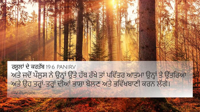 ਰਸੂਲਾਂ ਦੇ ਕਰਤੱਬ 19:6 PANIRV Bible Verse Image