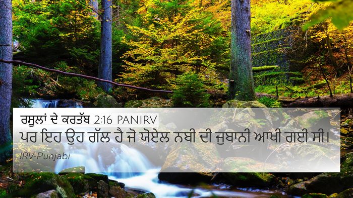 ਰਸੂਲਾਂ ਦੇ ਕਰਤੱਬ 2:16 PANIRV Bible Verse Image