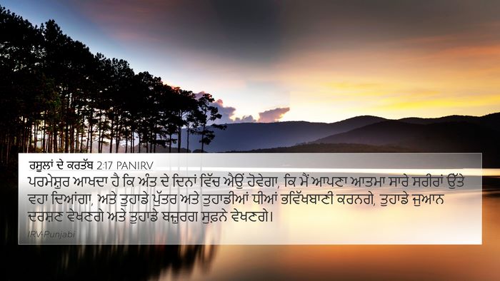 ਰਸੂਲਾਂ ਦੇ ਕਰਤੱਬ 2:17 PANIRV Bible Verse Image