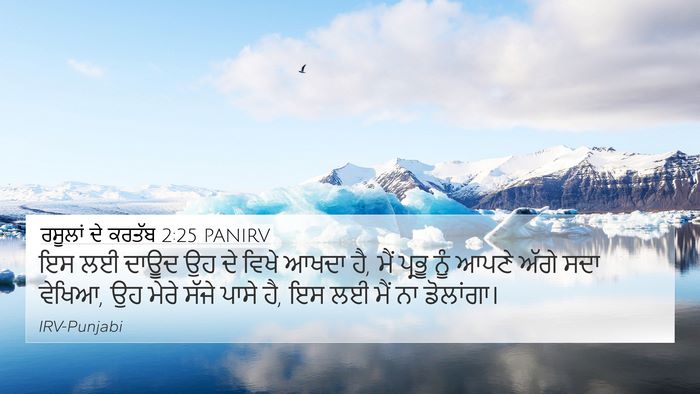 ਰਸੂਲਾਂ ਦੇ ਕਰਤੱਬ 2:25 PANIRV Bible Verse Image