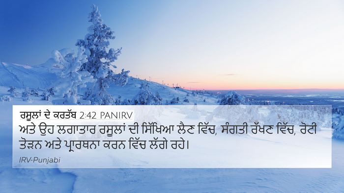 ਰਸੂਲਾਂ ਦੇ ਕਰਤੱਬ 2:42 PANIRV Bible Verse Image