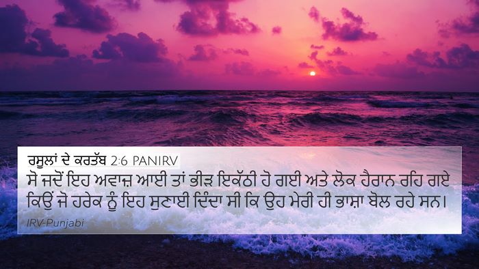 ਰਸੂਲਾਂ ਦੇ ਕਰਤੱਬ 2:6 PANIRV Bible Verse Image